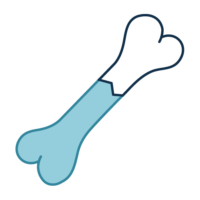 Custom icon